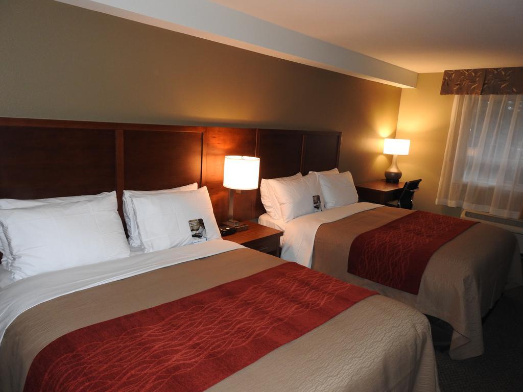 Comfort Inn & Suites Langley Ngoại thất bức ảnh